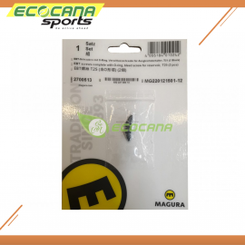Magura EBT Screws Magura EBT Screws
