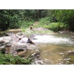 Short ride to Kampung Orang Asli Ulu Kuang Short ride to Kampung Orang Asli Ulu Kuang