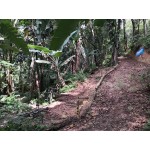 Tekas XCO Bike Park - The hidden family friendly mountain bike park in Kuala Lumpur Tekas XCO Bike Park - The hidden family friendly mountain bike park in Kuala Lumpur