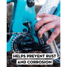 PEATY'S PT17 GENERAL MAINTANENCE SPRAY