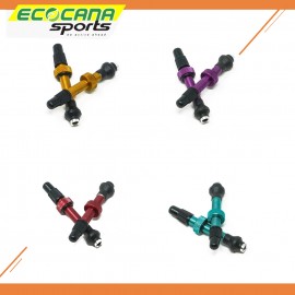 I9 Torch Tubeless Valve I9 Torch Tubeless Valve