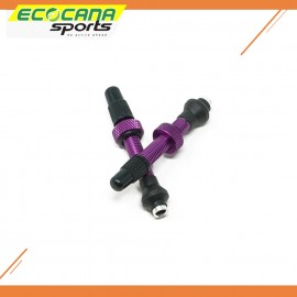 I9 Torch Tubeless Valve I9 Torch Tubeless Valve