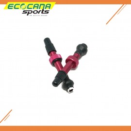 I9 Torch Tubeless Valve I9 Torch Tubeless Valve